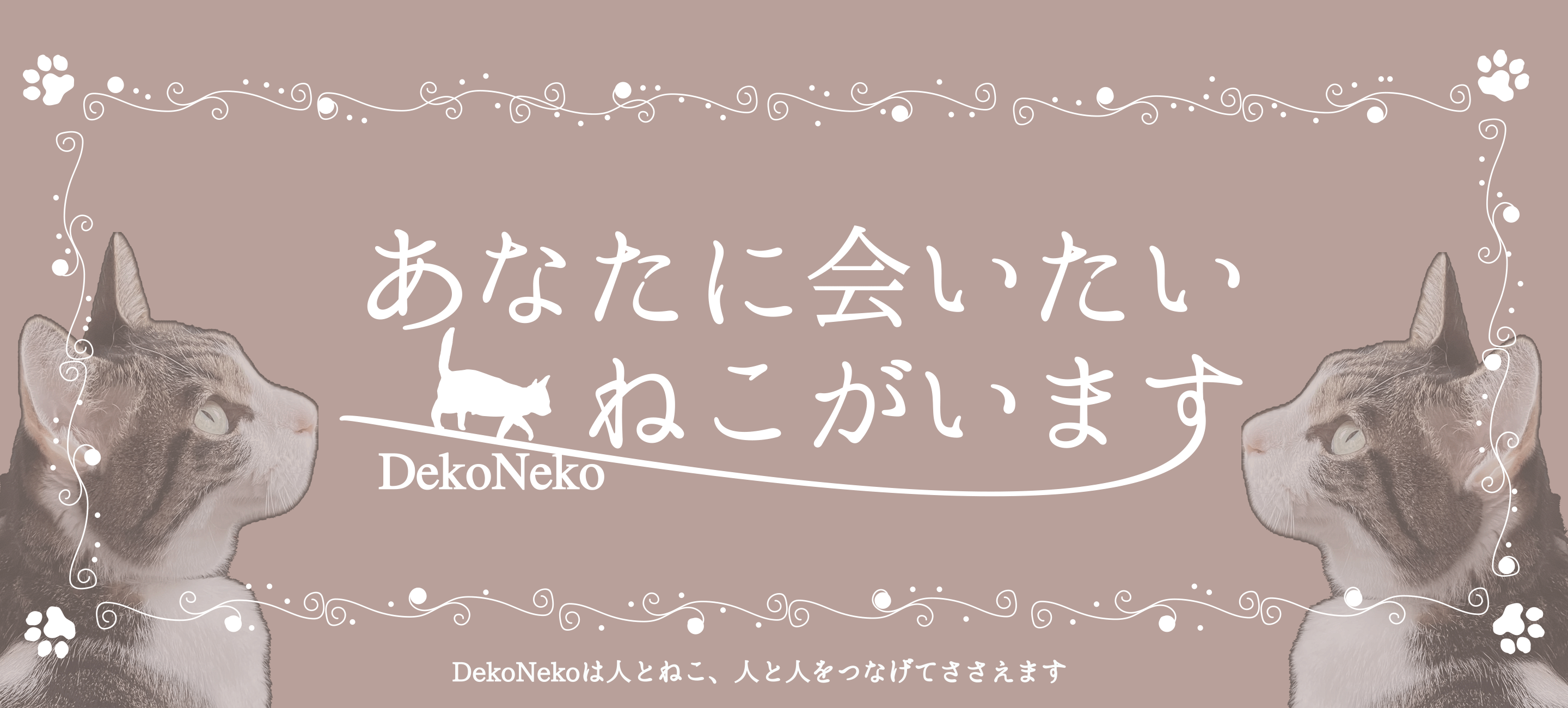 あなたに会いたいねこがいます