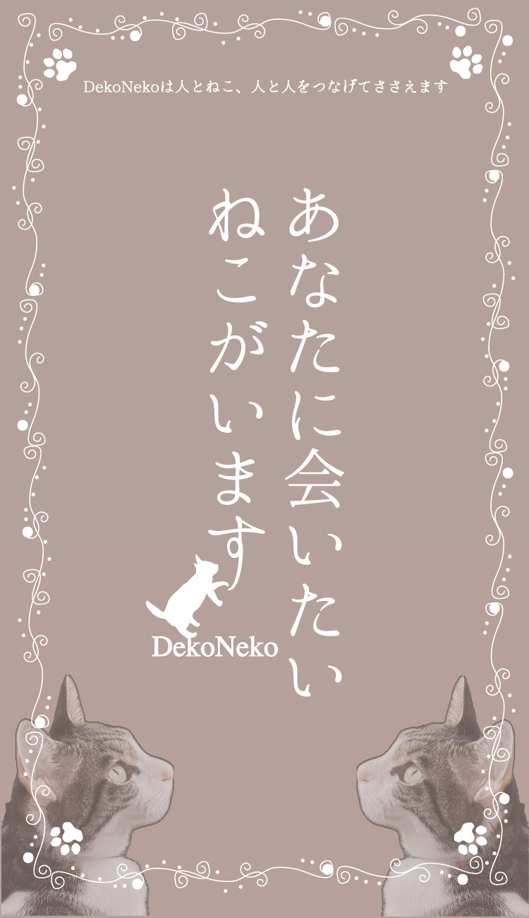 あなたに会いたいねこがいます
